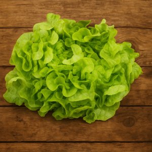 Salade Feuille de Chêne Blonde la piece