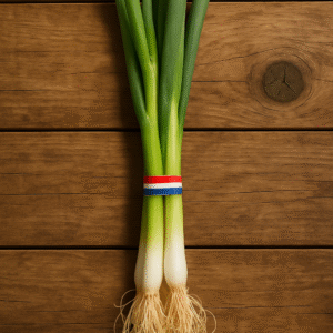 Cébette botte Provence