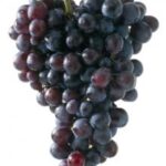 Raisin Muscat de Provence1kg