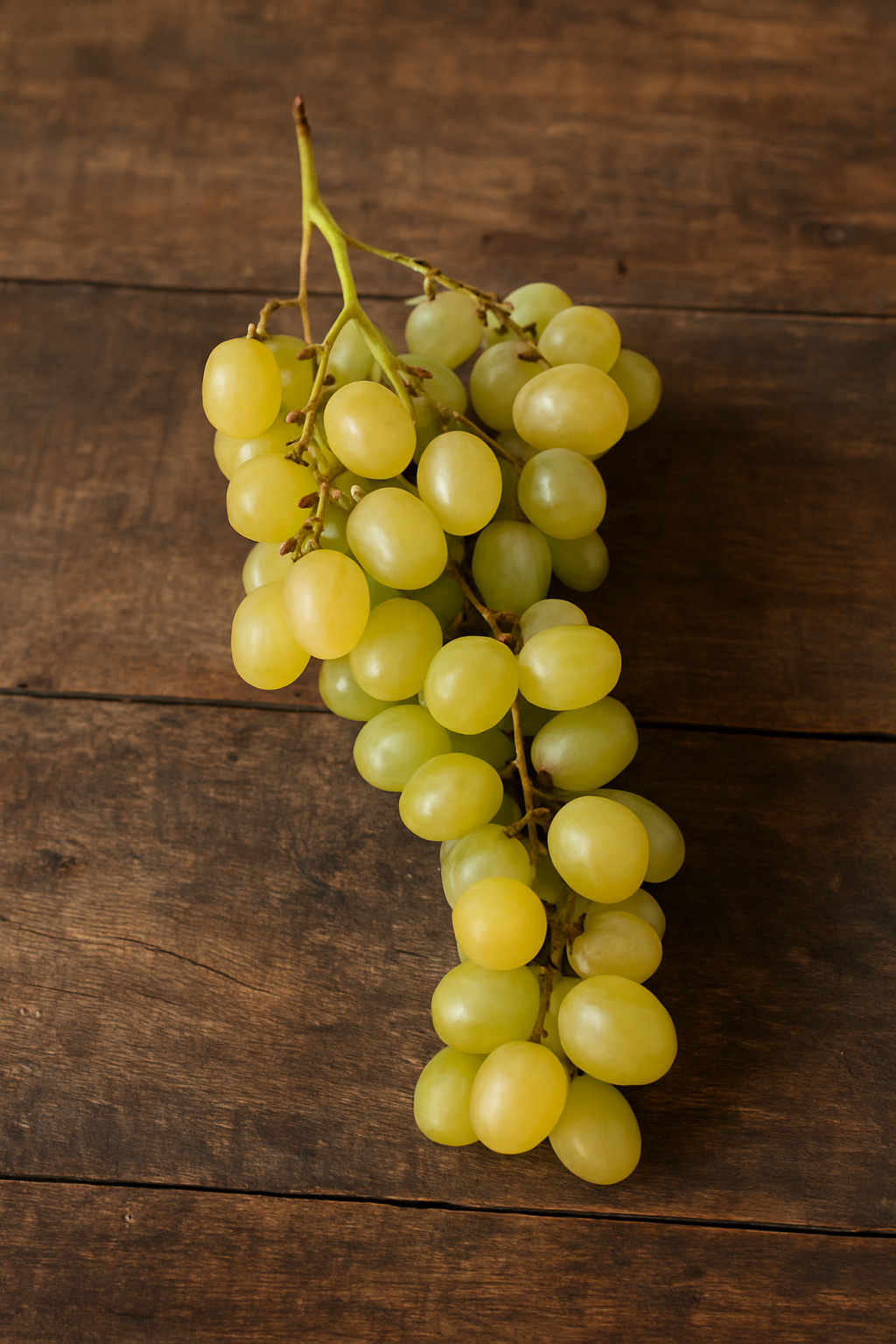 raisin blanc italie 1 kg