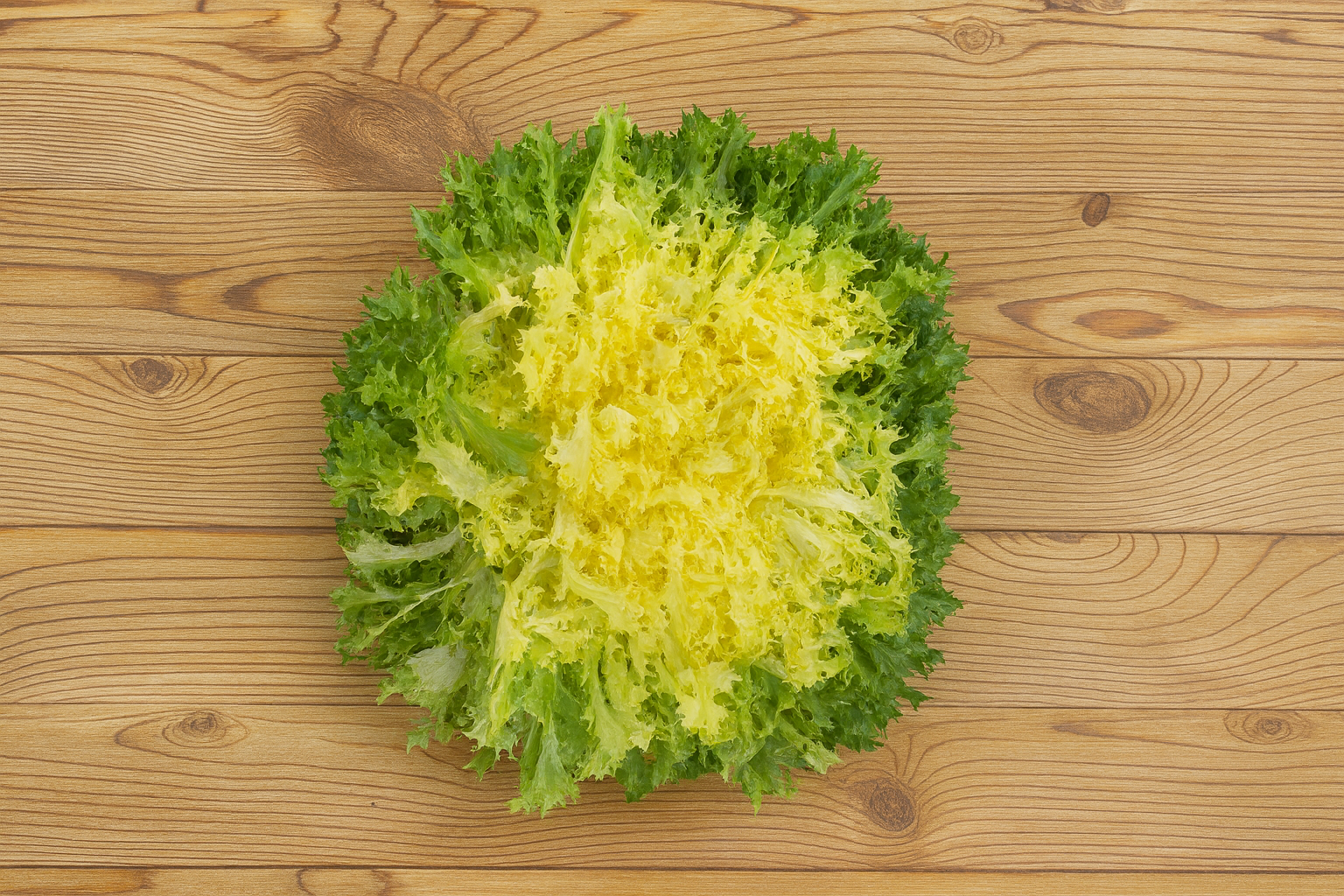 Salade Frisée